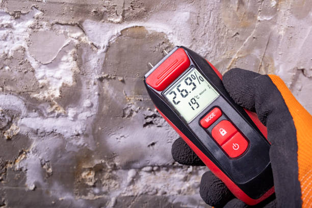 Best Attic Mold Remediation in Biggs, CA